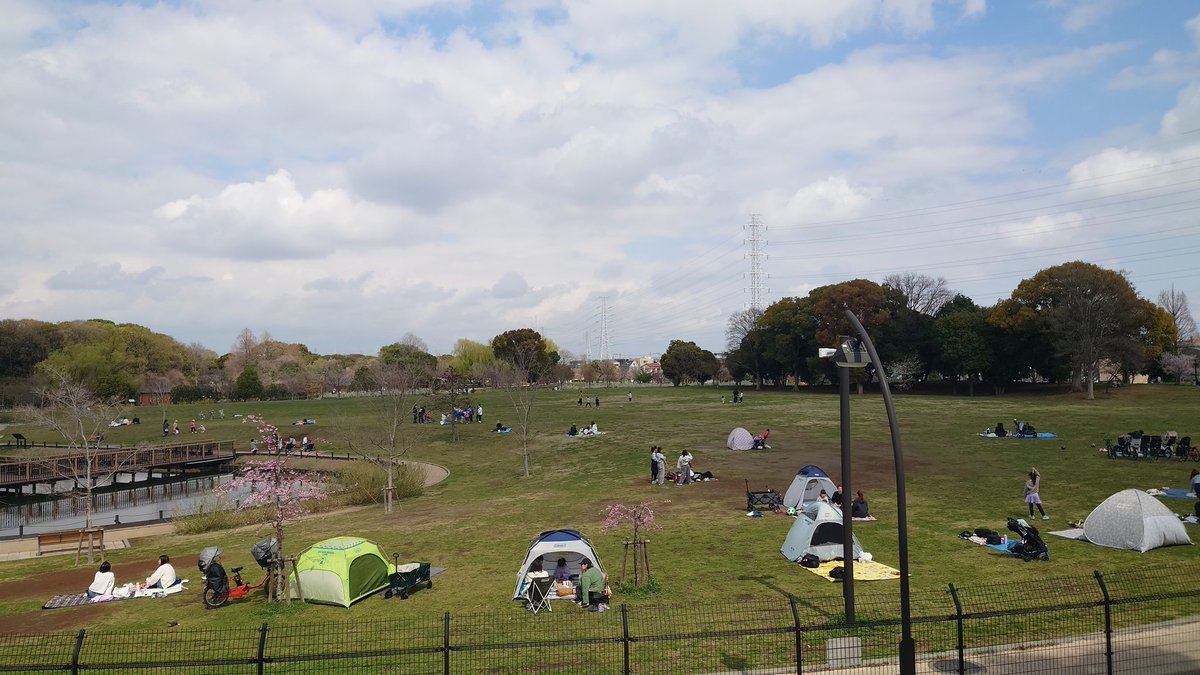 Hitsuji & Friends 羊ヶ丘ひつじとお友達 tweet media