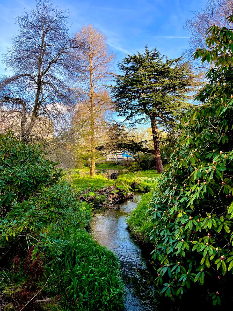 Will Sergeant tweet media