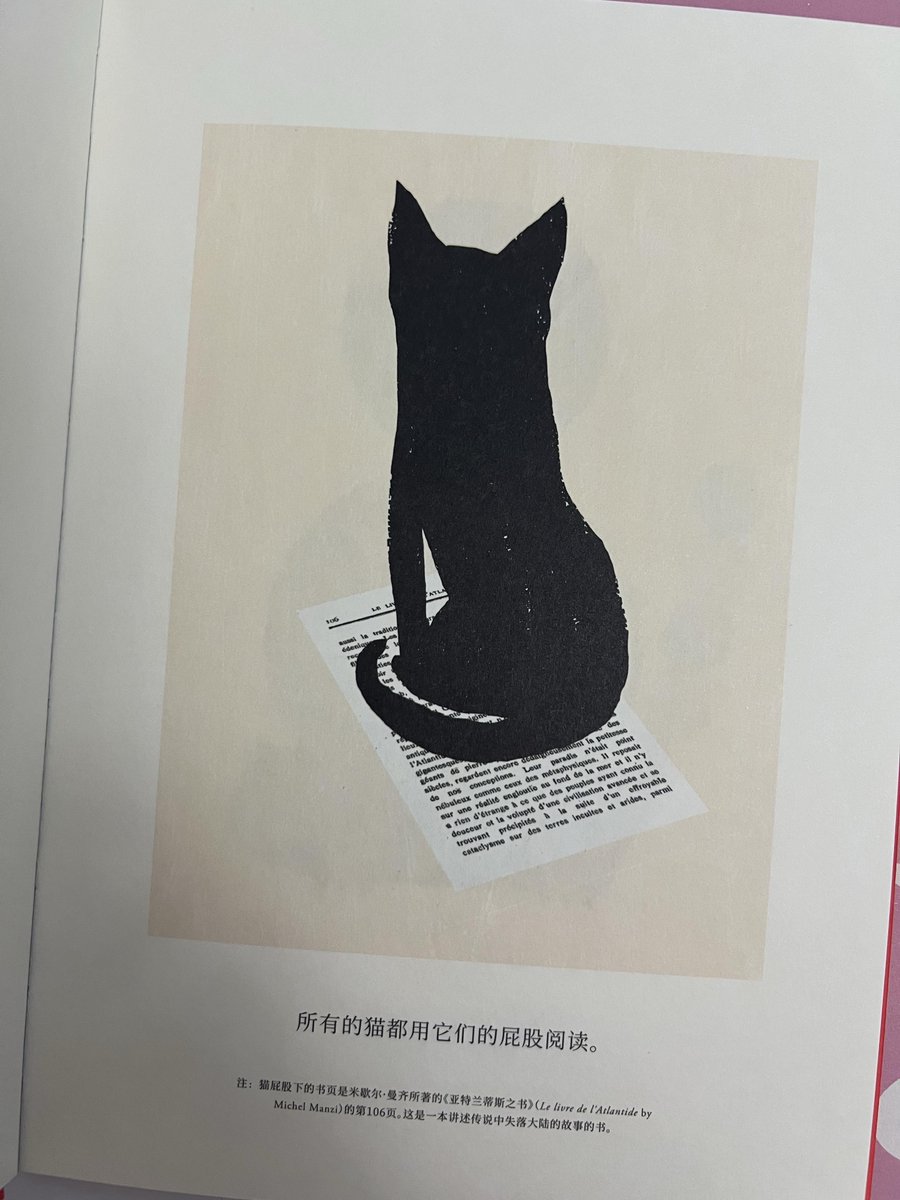 francesca a. tweet media