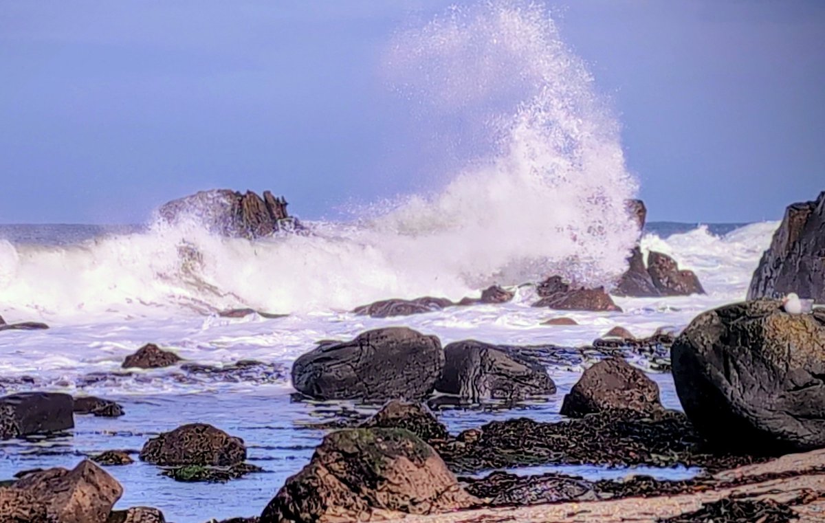 Anne Kelly ⛔NO DMs⛔ unless I know or follow you. tweet media