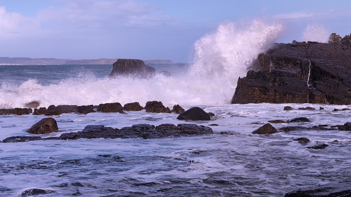 Anne Kelly ⛔NO DMs⛔ unless I know or follow you. tweet media