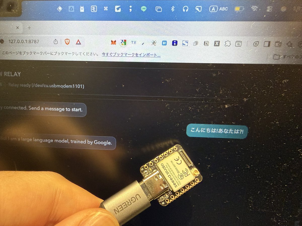 菅原のびすけ tweet media