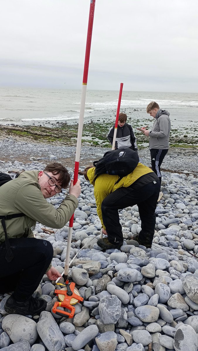 BeaconsFieldStudies tweet media