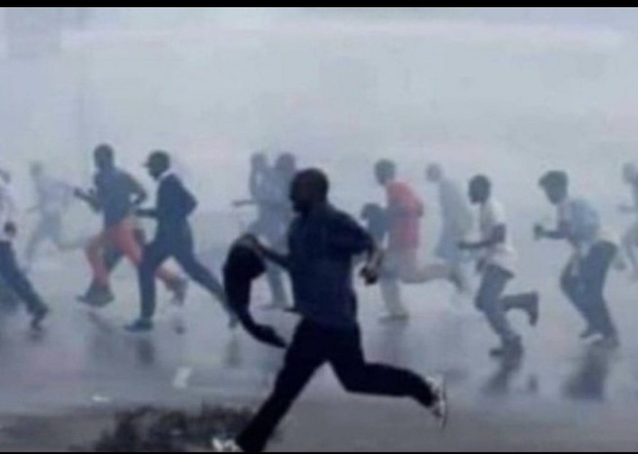 MCO.Balaam💉🧬 tweet media