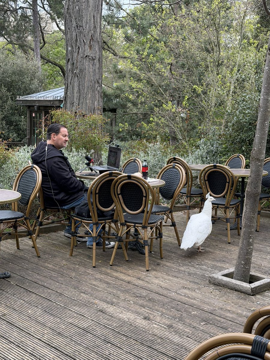 Mark Halperin tweet media