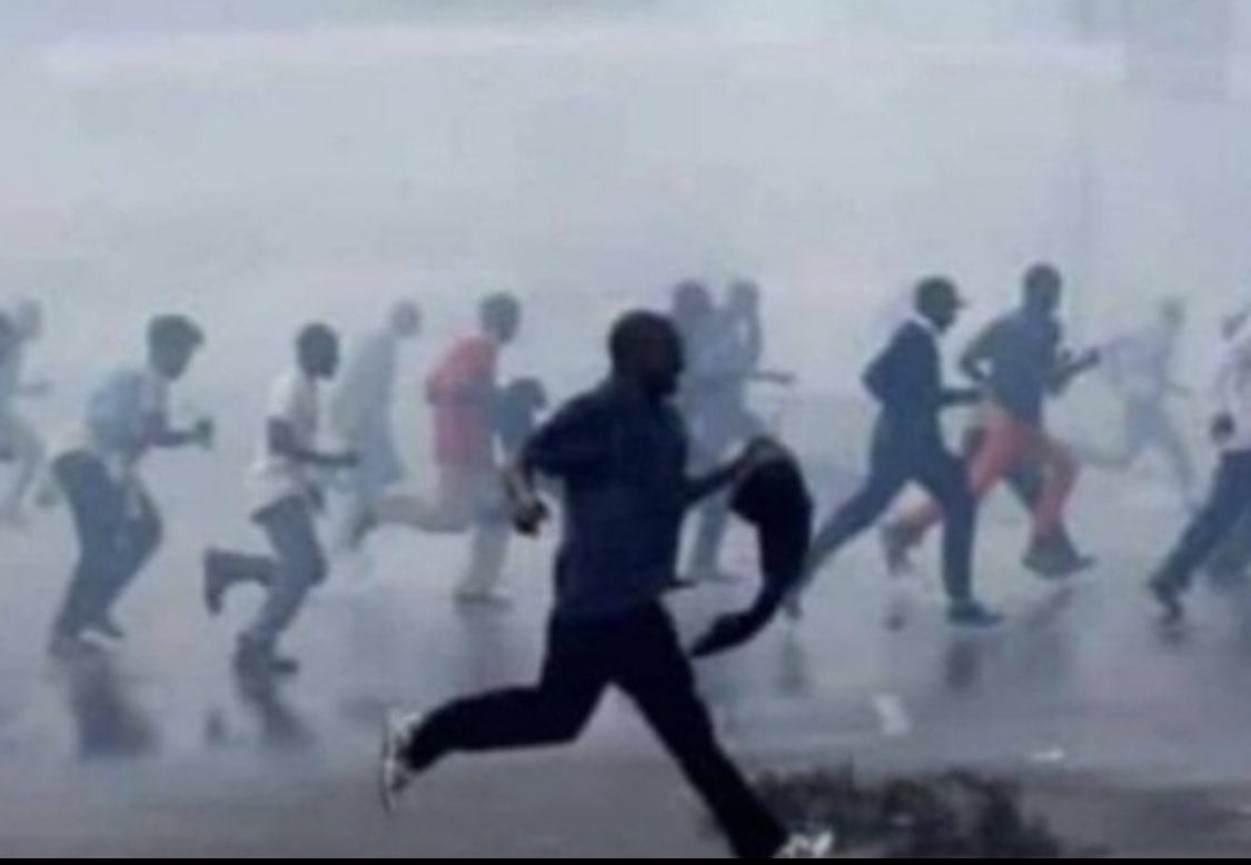 MCO.Balaam💉🧬 tweet media