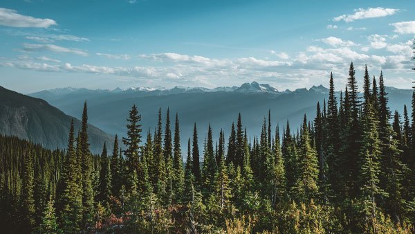 International Mining tweet media