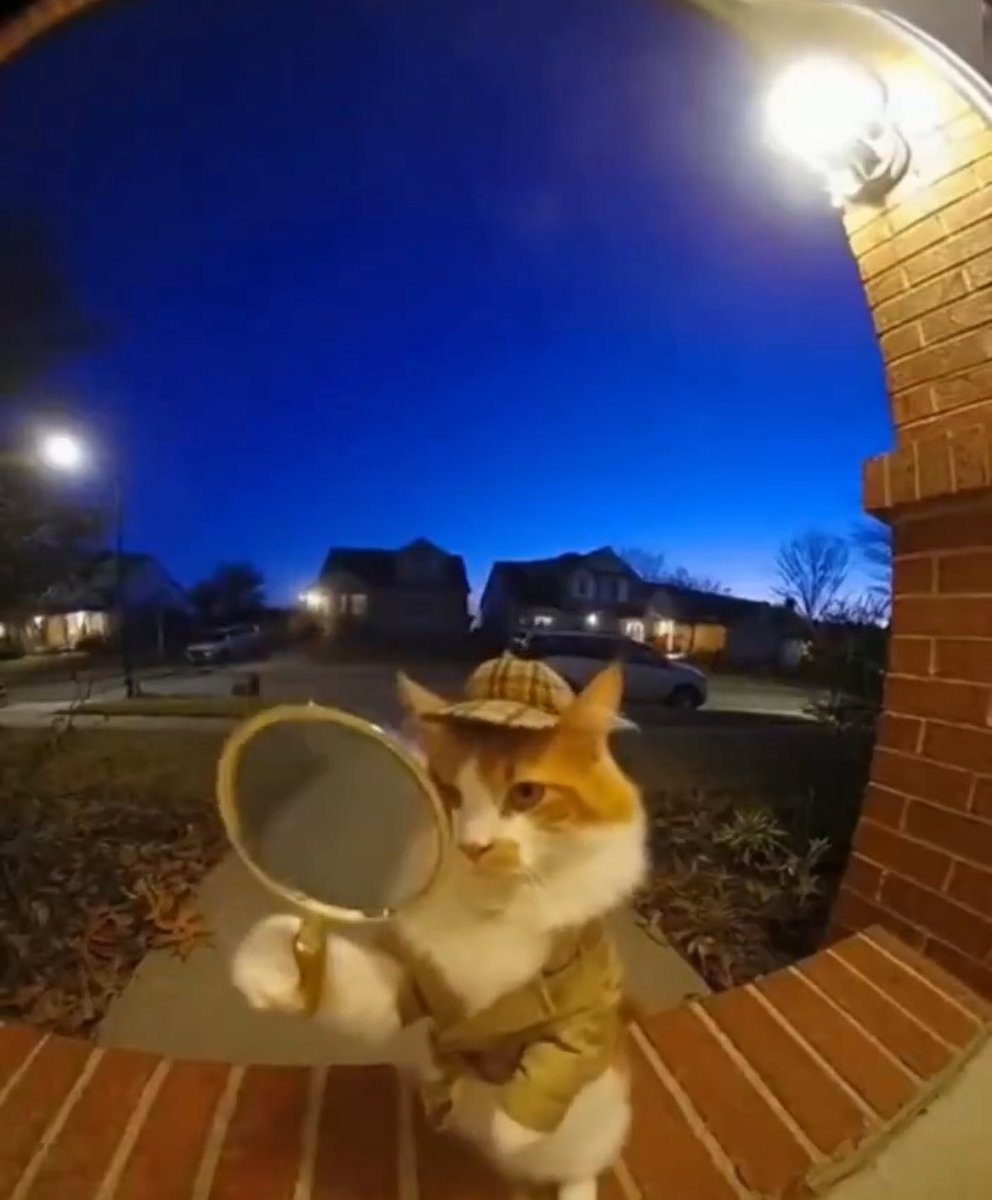 benjaminbey c dean tweet media