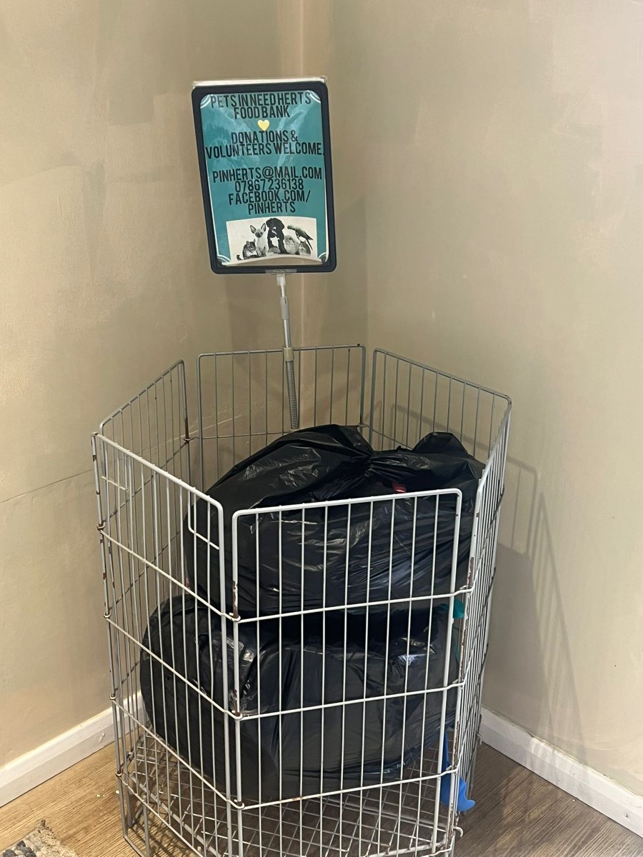 pinherts tweet media