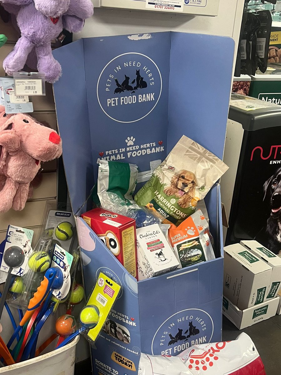 pinherts tweet media