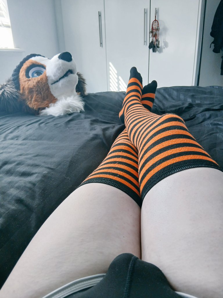 BeanThePunk AD 🔜 CFZ 🔞 tweet media