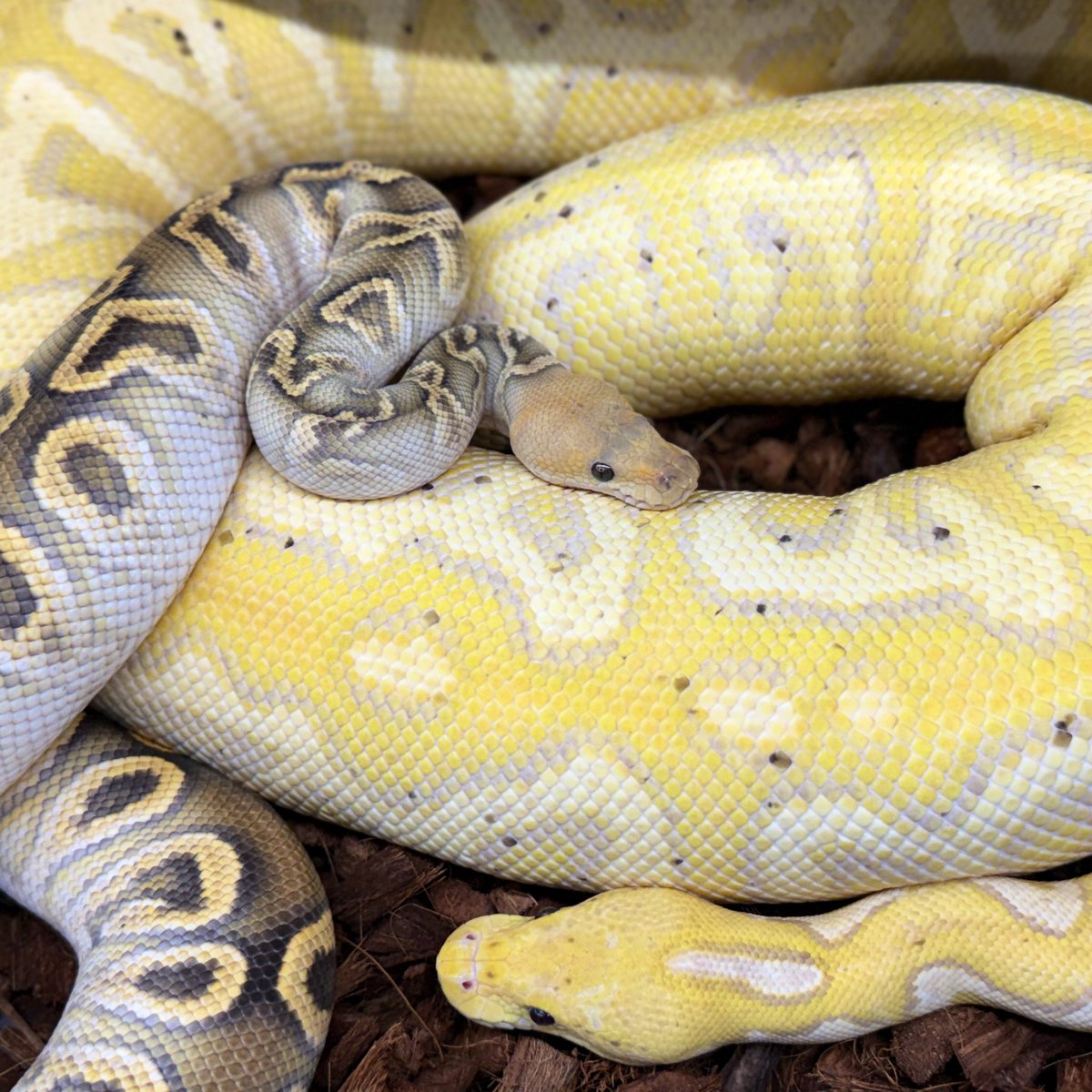 Fabulous_Park tweet media