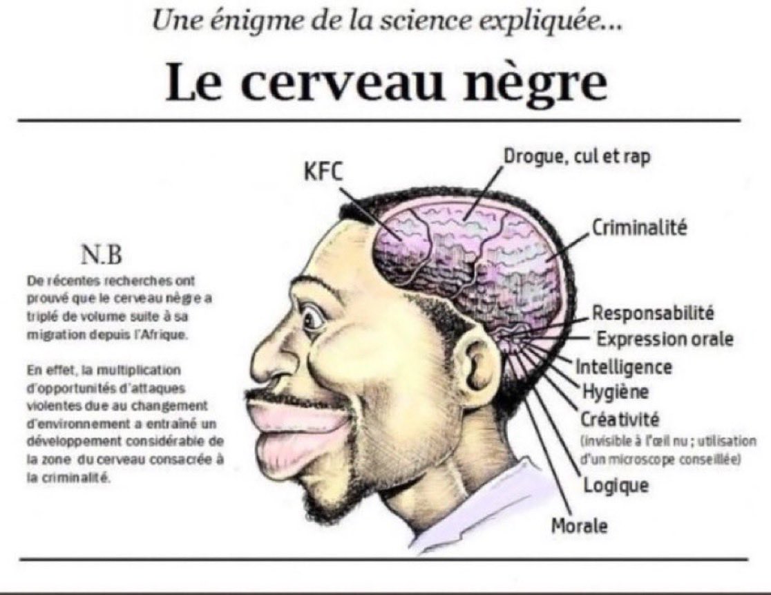 Ilan gabgay tweet media