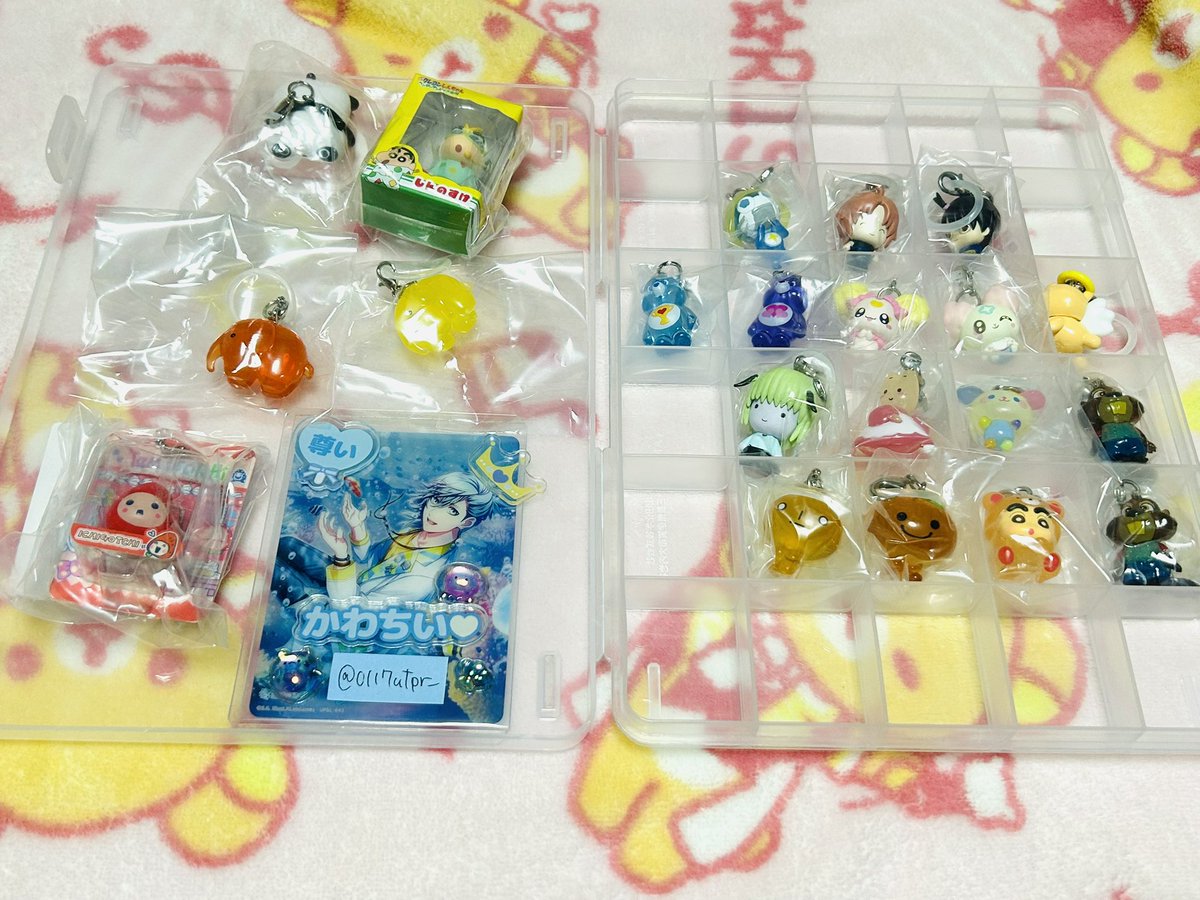 ひな　プロカ必読 tweet media