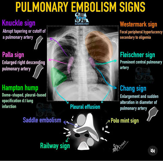 A.O. Samuel ☢️⚕️ tweet media