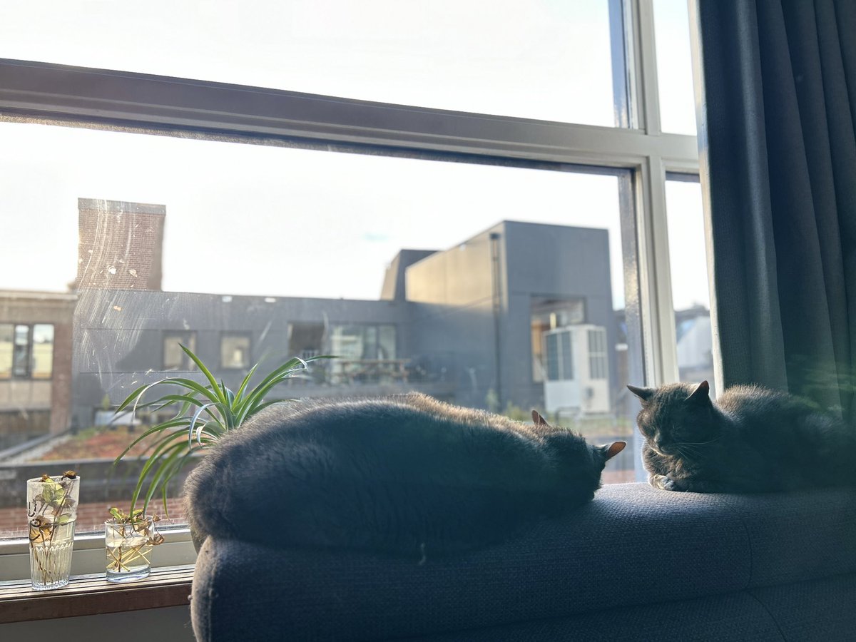 Sissy Eva Blanc tweet media