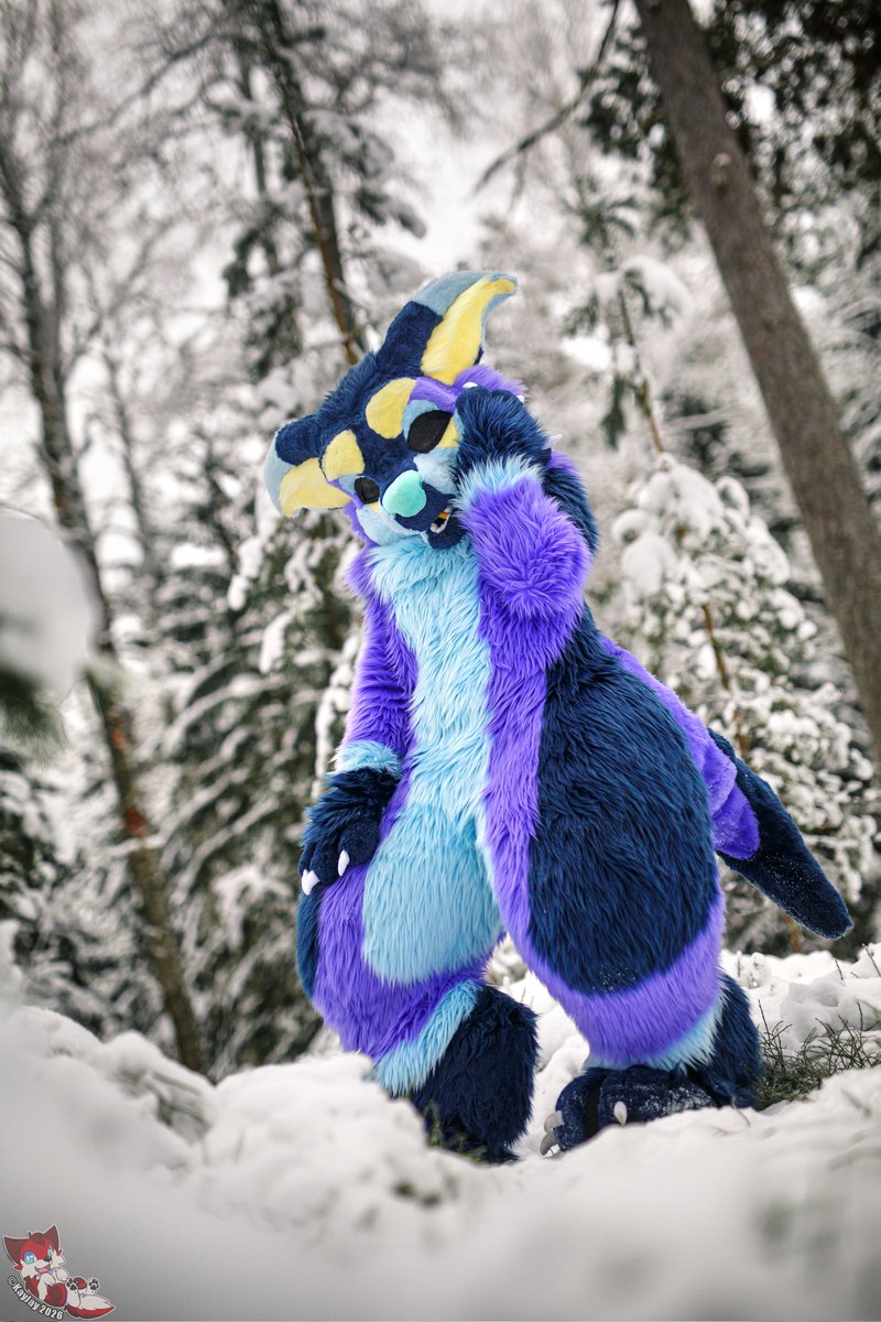 Lugetinn's tweet photo. Spring is here already, but I kinda miss the snowy nature❄️ Happy #fursuitfriday 
📸: @KayJayFIN

#fursuit #furry #furryfandom #manokit #manokitfursuit https://t.co/VnfRF7t7qL