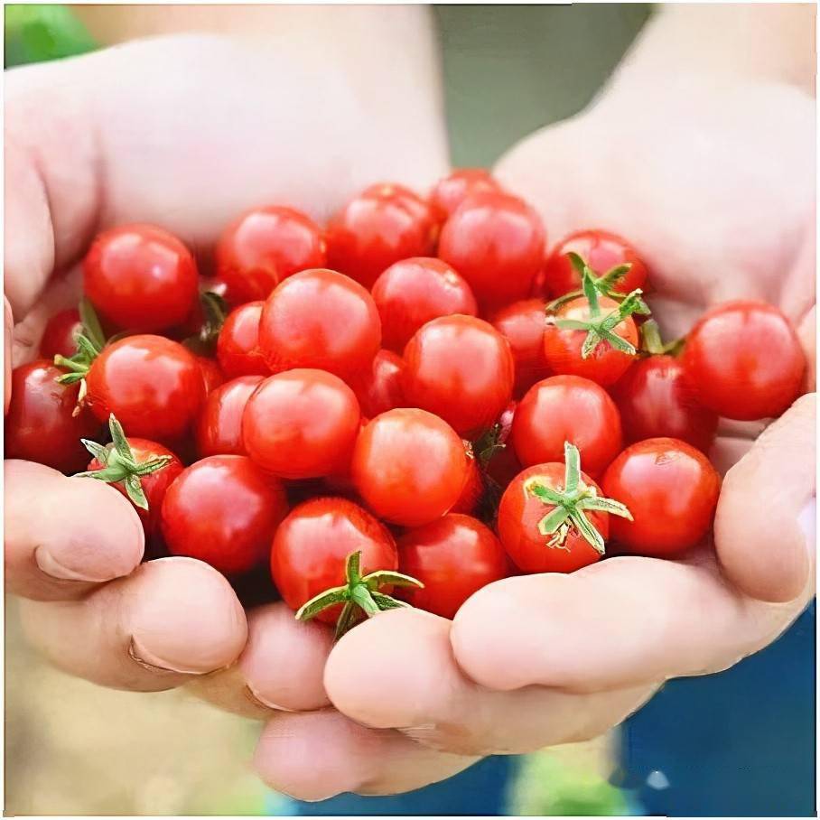 Todd Andrew Sanders tweet media