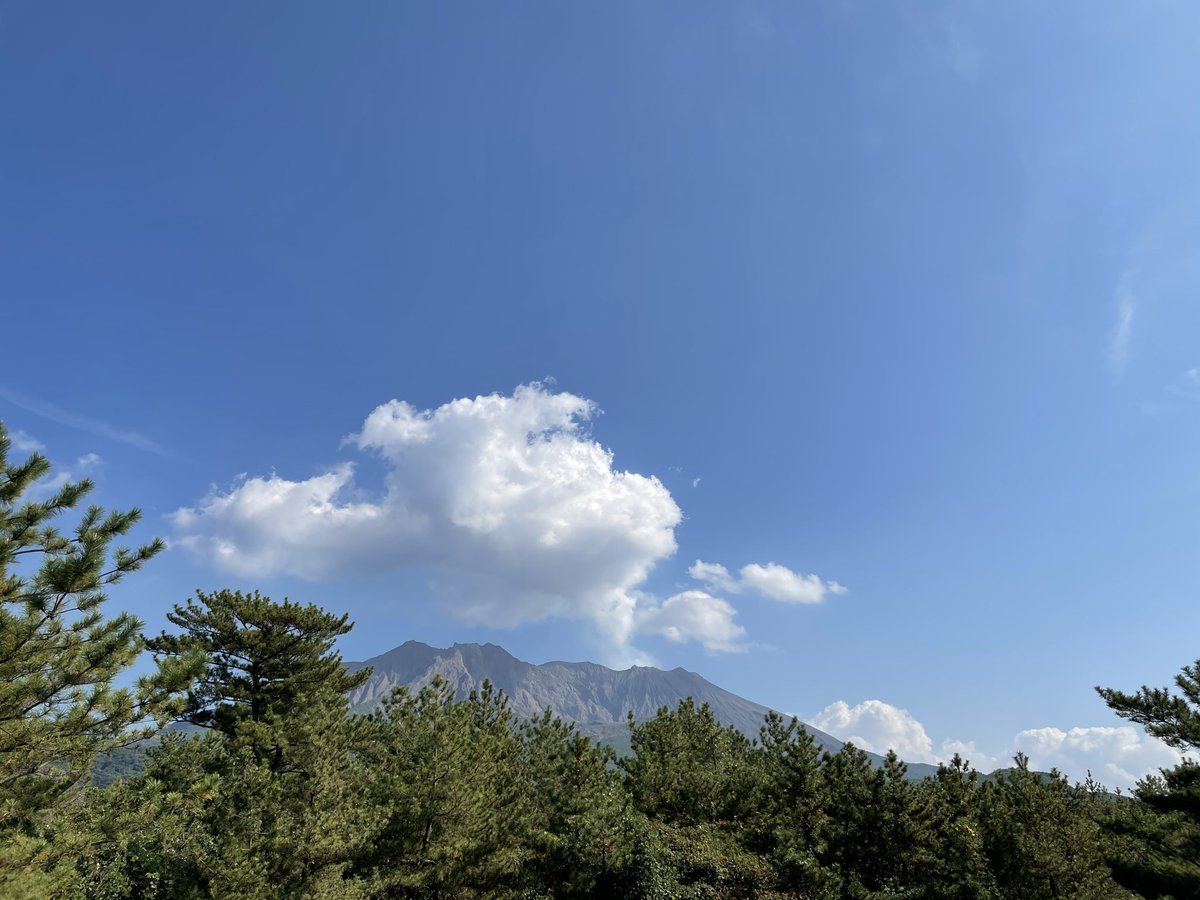 tasse coffee roaster tweet media