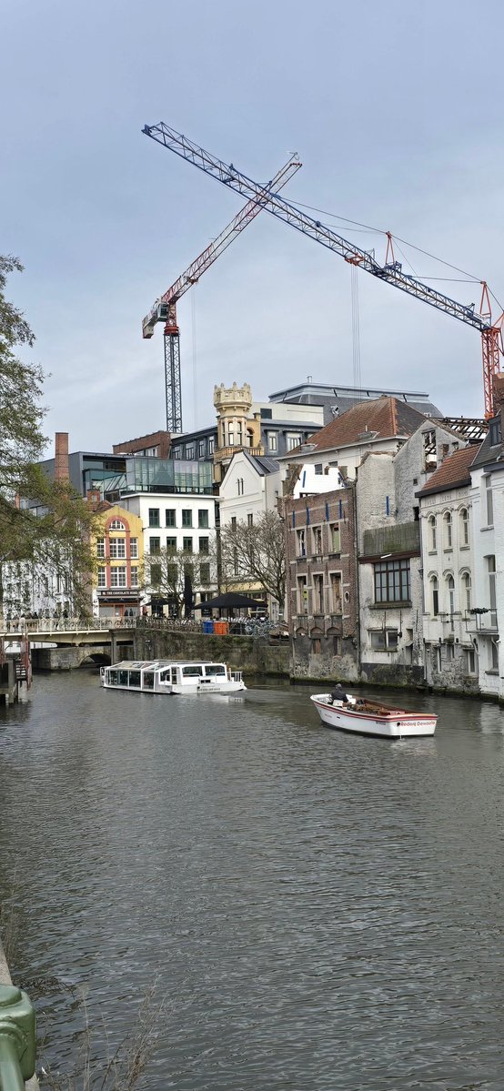 Ing.☀️ tweet media