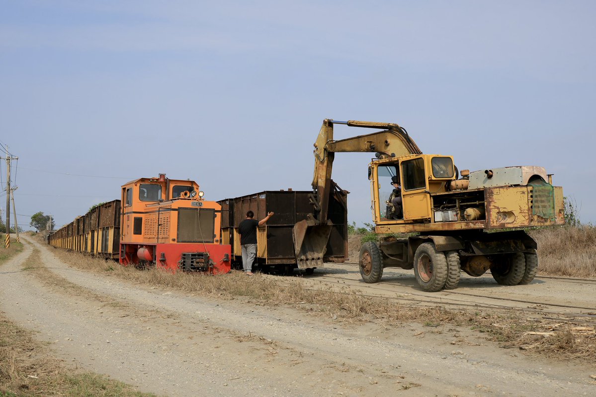 だいさま🇹🇼 tweet media