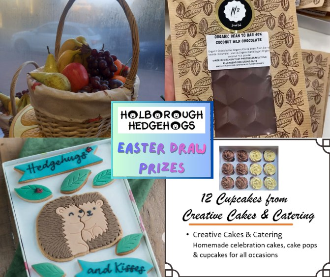 Holborough Hedgehogs tweet media