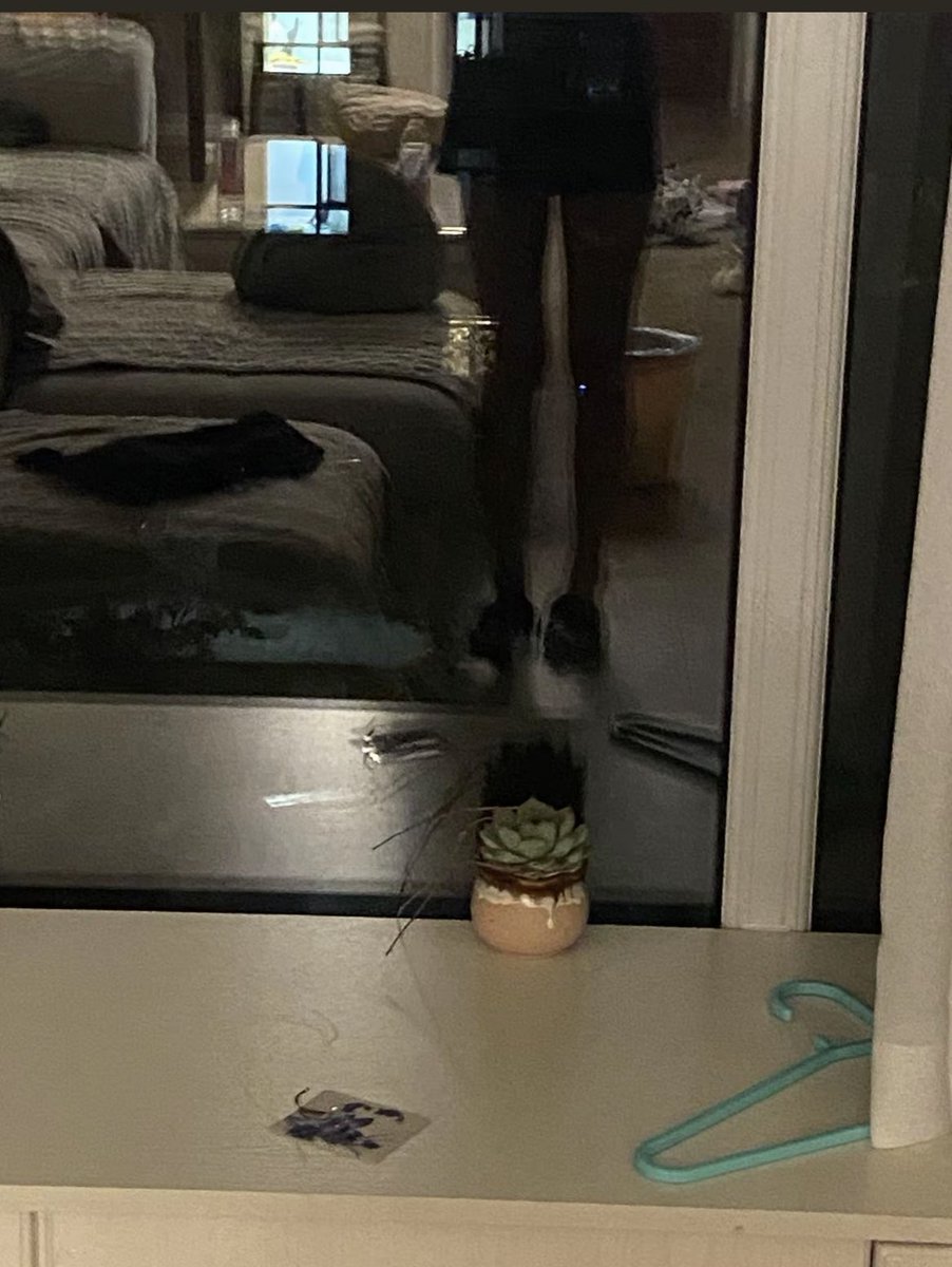 美丽坏女银 tweet media