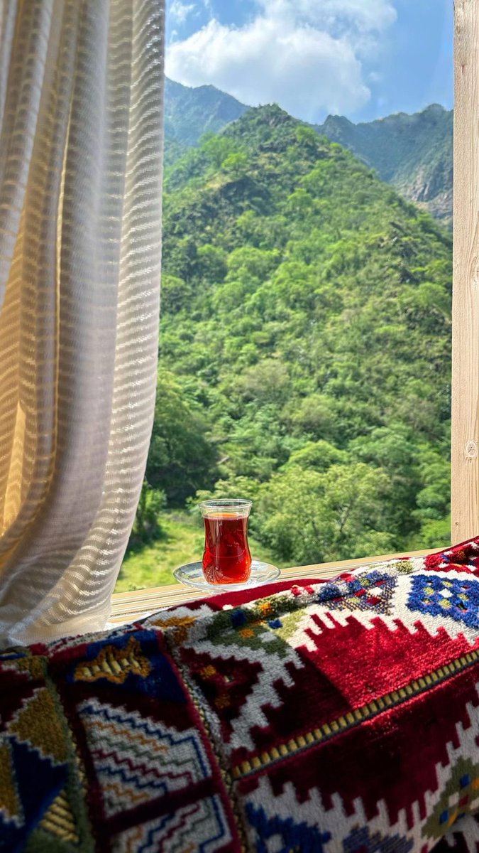 وانیلوو tweet media