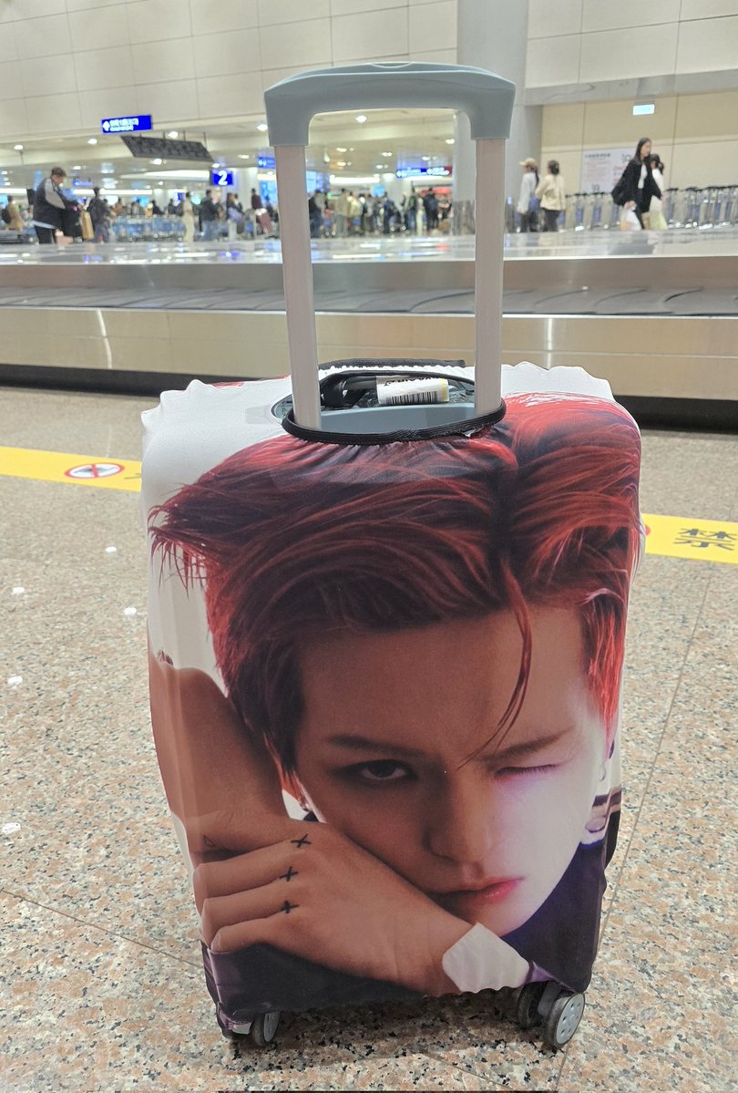 BabyYoshiTiger🌲🐯🐱 tweet media