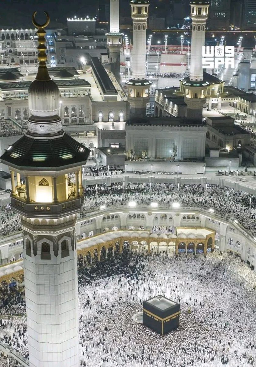 المحارب ⛓️ tweet media