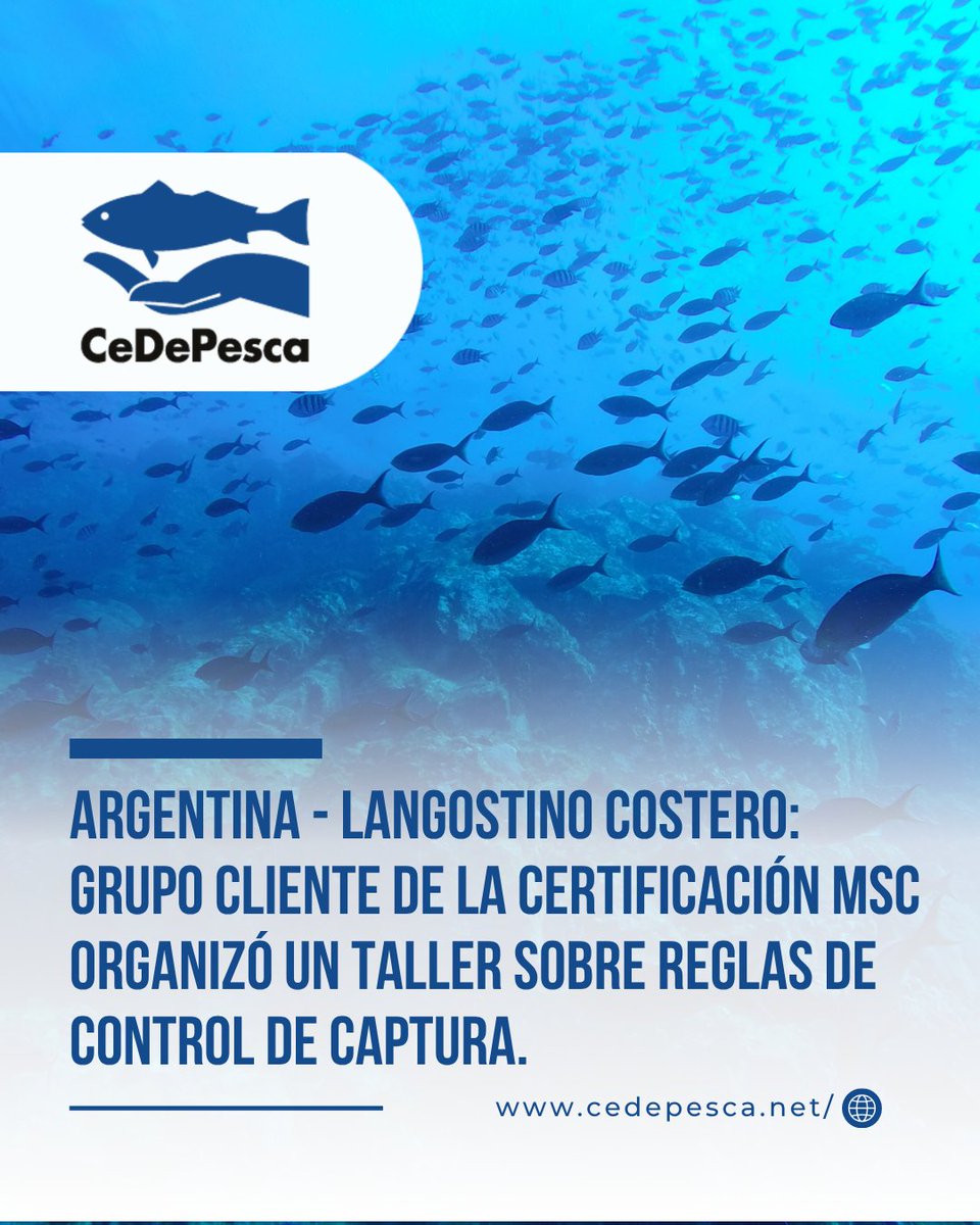 CeDePesca tweet media