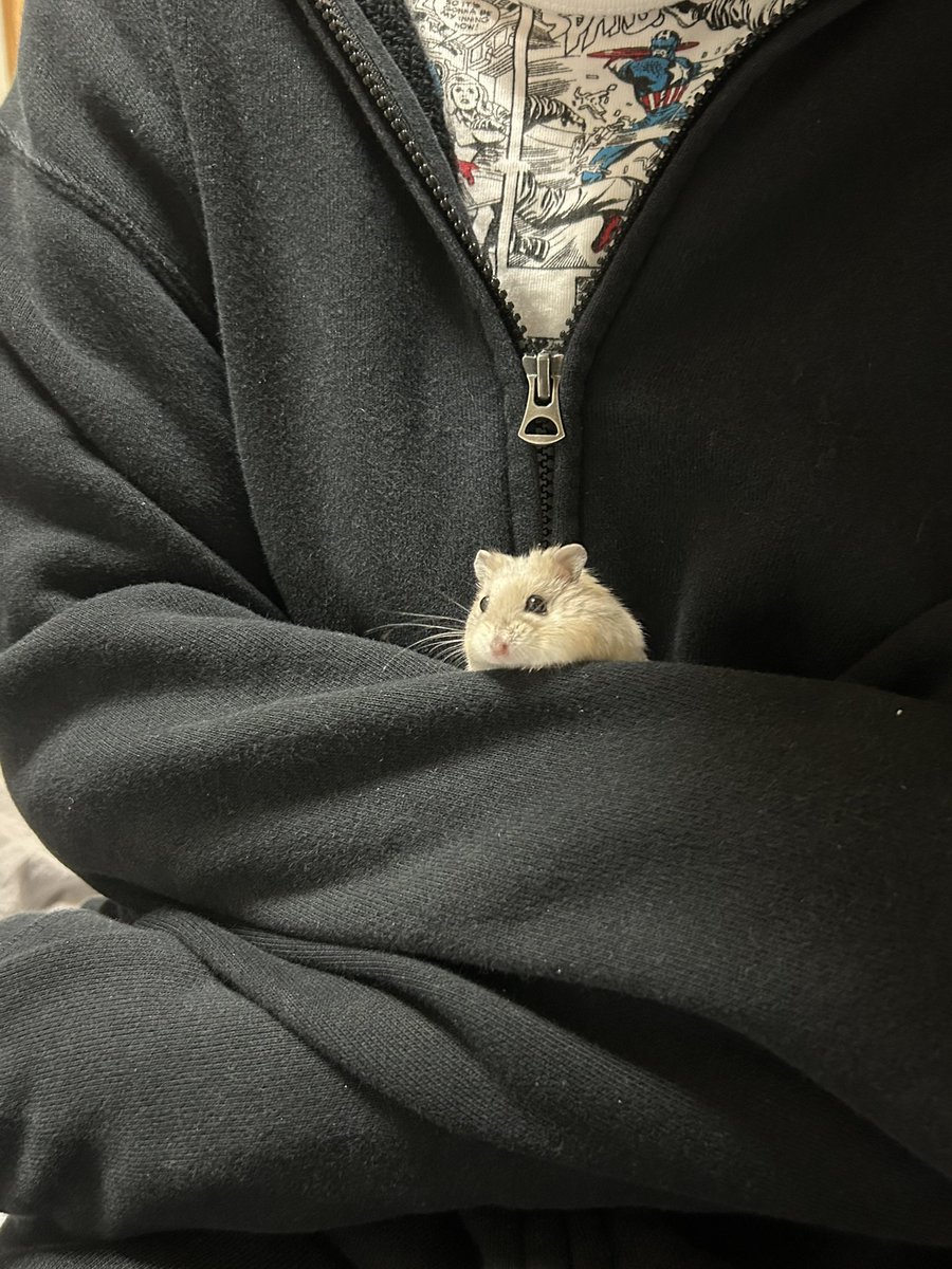 郡南蛮田 平平(ぐなんばんでん　へいぺい) tweet media