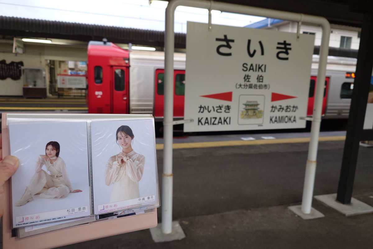 山 陽 路/さんよーじ tweet media