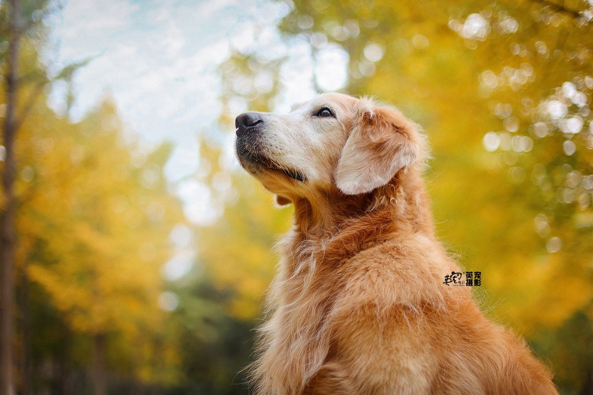 Dallana Cedillo tweet media