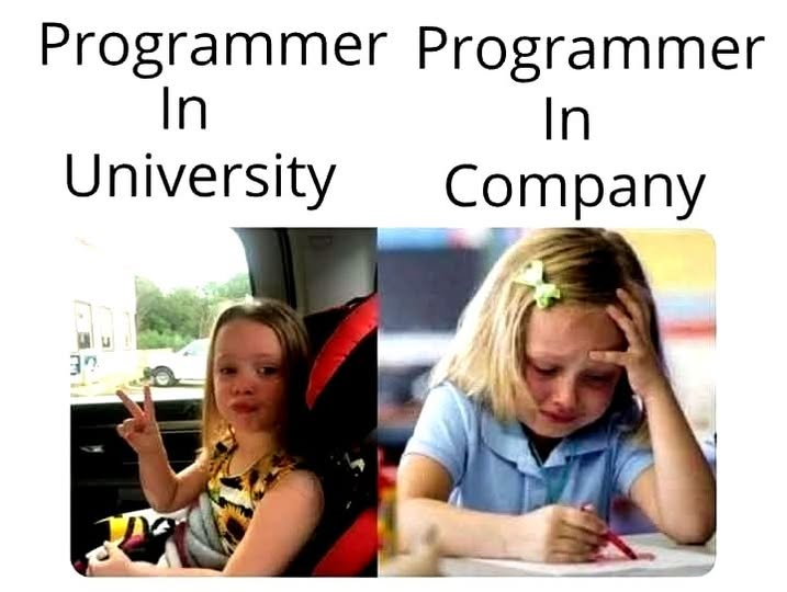 Python_Dv's tweet image. Programmer in University vs. Programmer in Company👨‍💻 ☺️😂

#Programmer #LearnPython #Python #PythonProgramming #Coding #Programming