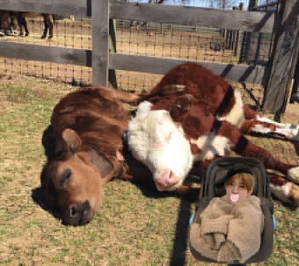 chair🌷⋆˚ ʚїɞ tweet media