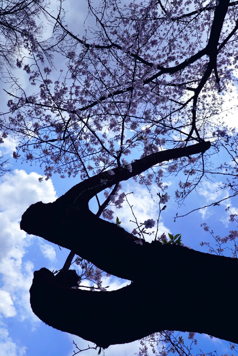 HIDEO_KOJIMA tweet media