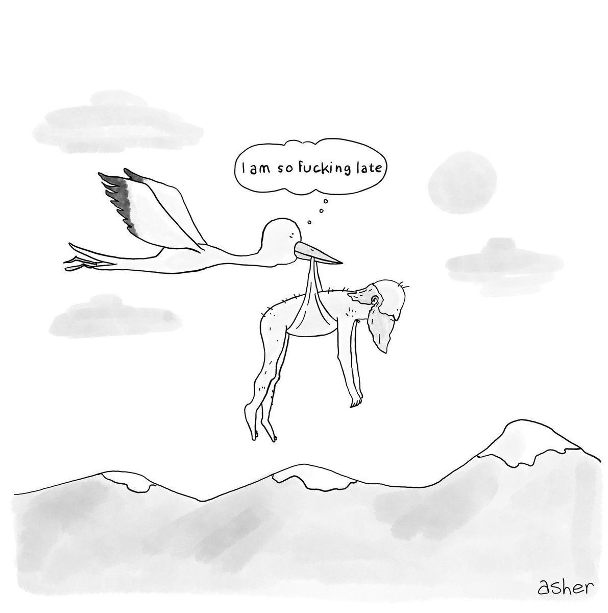 Asher Perlman tweet media