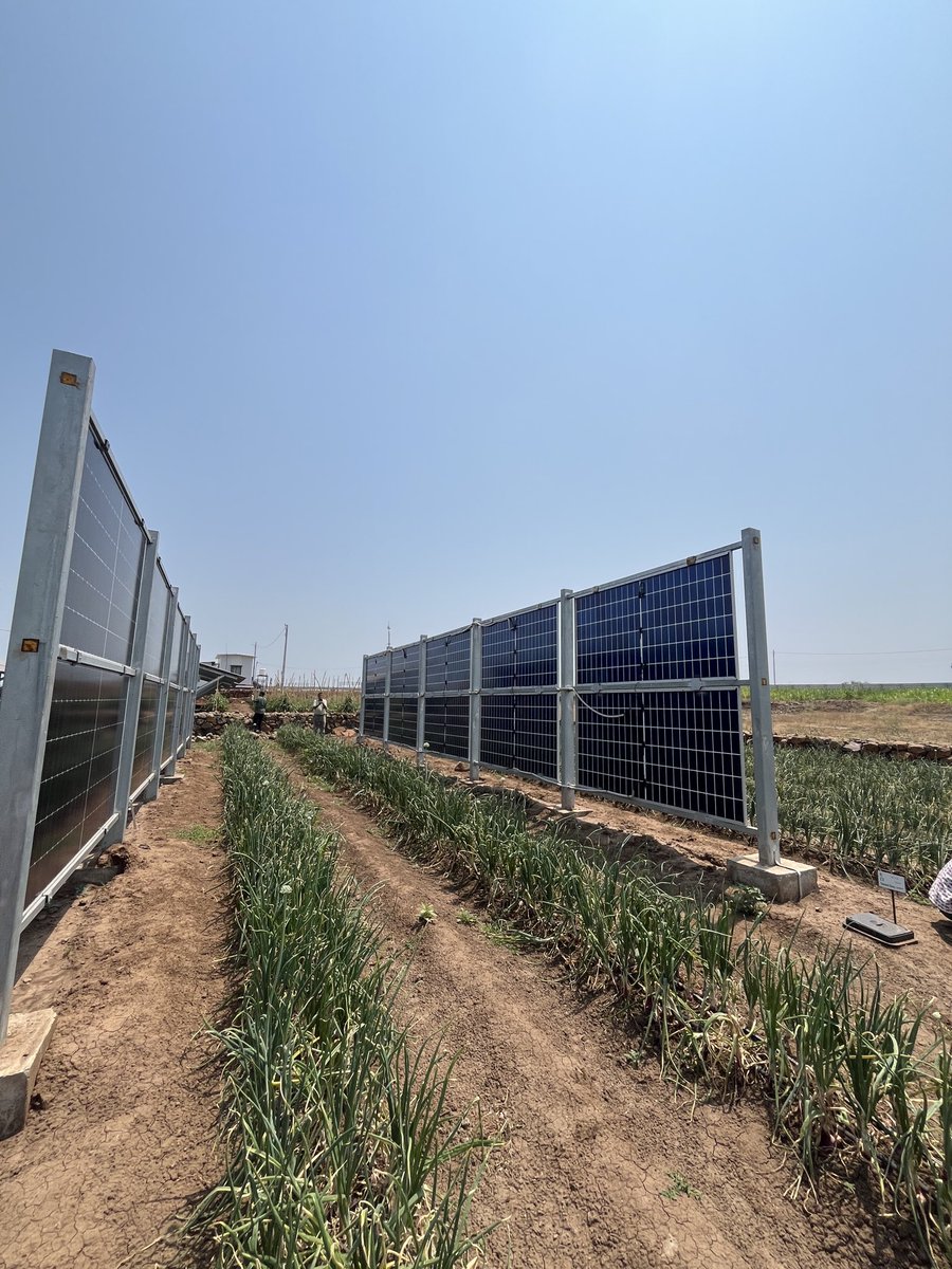 Sakib | साक़िब | ‏ثاقب tweet media