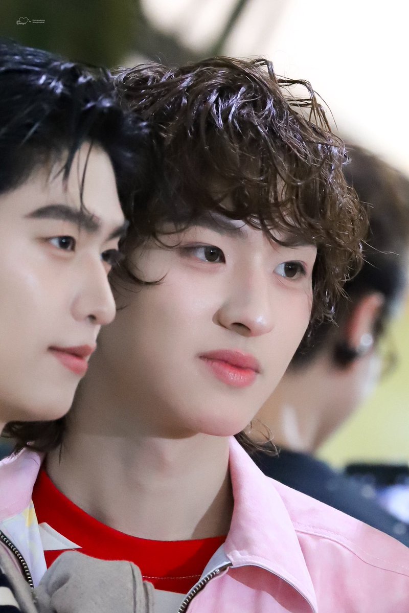 𝒾𝘯𝘲𝘶𝘪𝘦𝘵𝘭𝘪𝘨𝘩𝘵 - (𝐭𝐦) ♡ tweet media