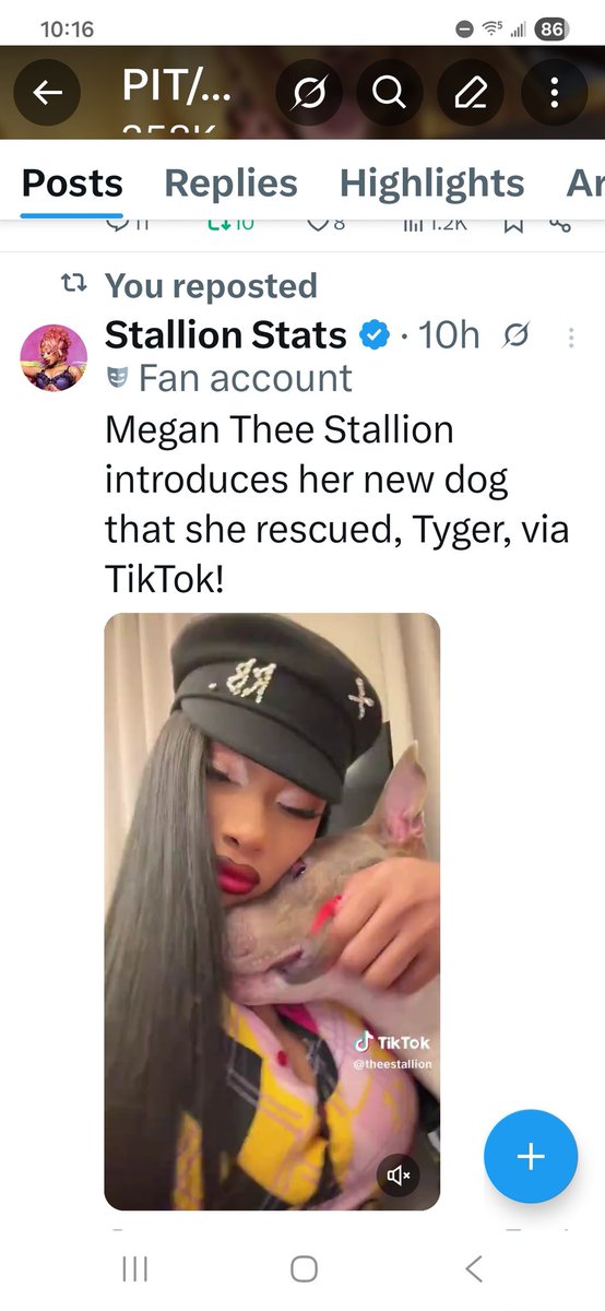 PIT/CHI/CHUG LIFE ❤🐶 tweet media