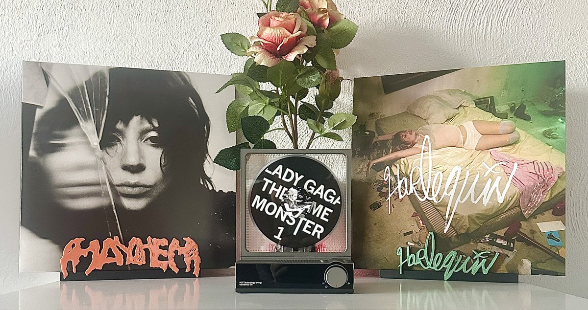 josephina ✨ tweet media