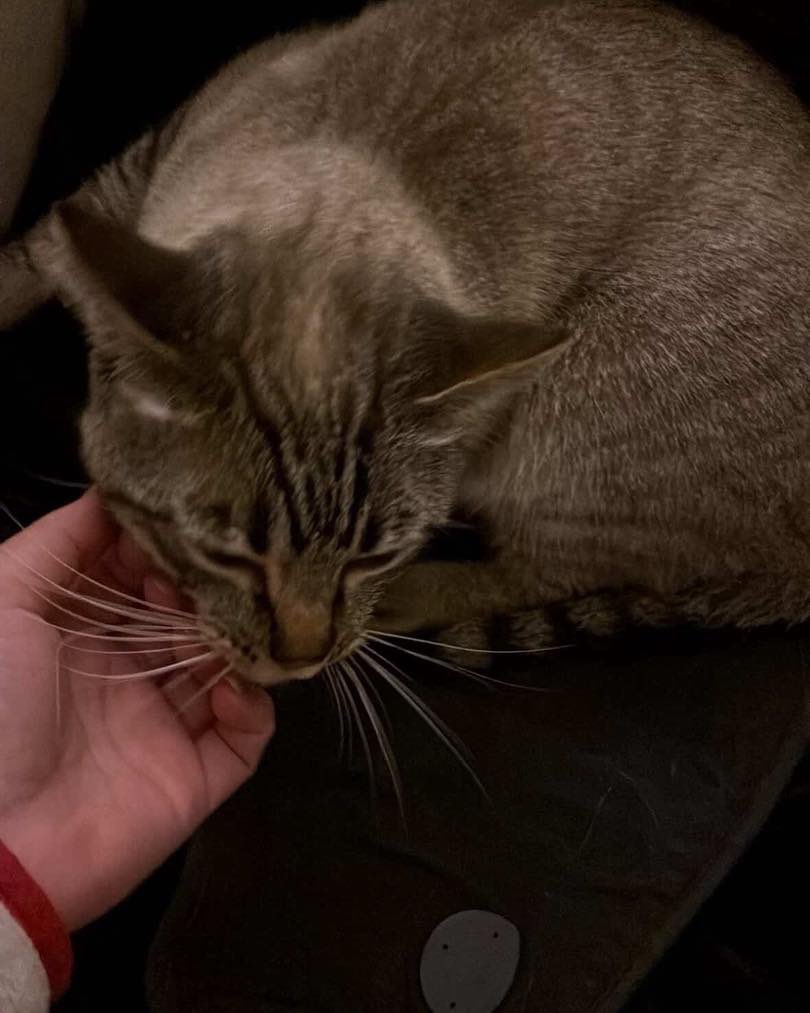 asociación abeiro tweet media