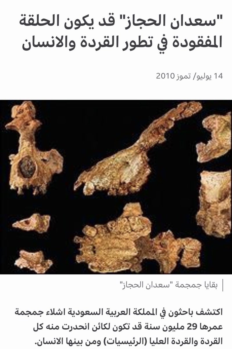 نبيل tweet media