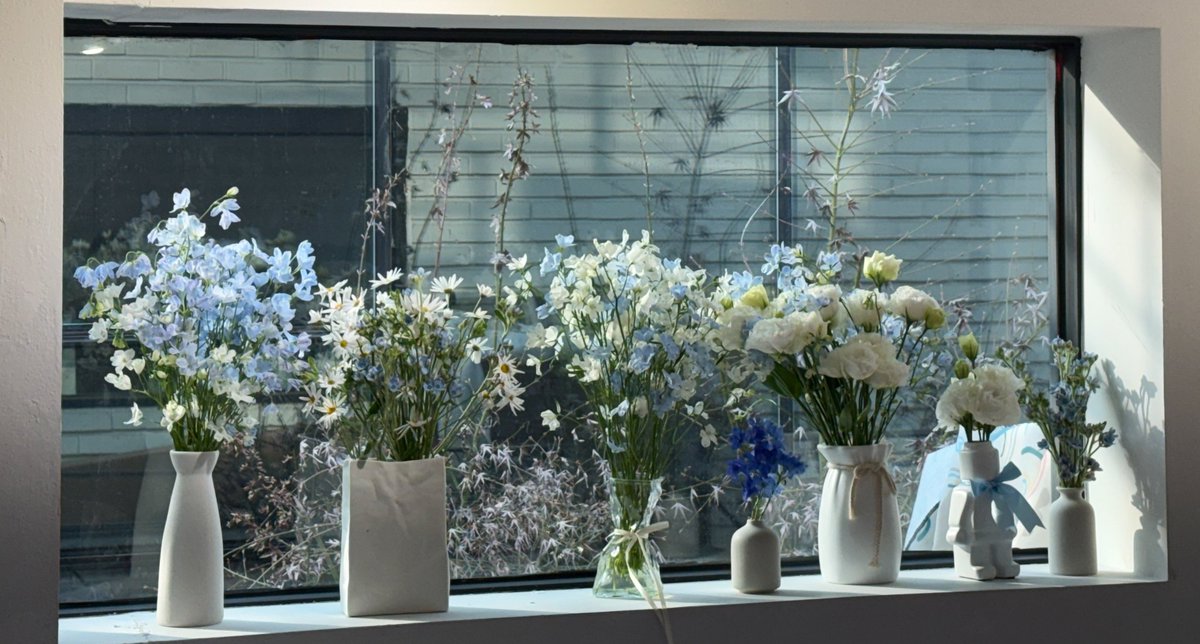 archiveH tweet media