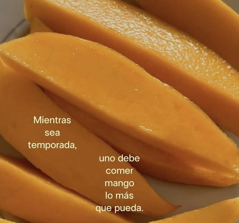 🇲🇽 México Mágico ✨ tweet media