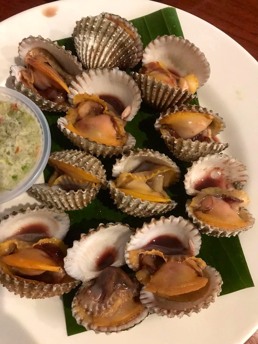 RO J LAND 🤍 tweet media