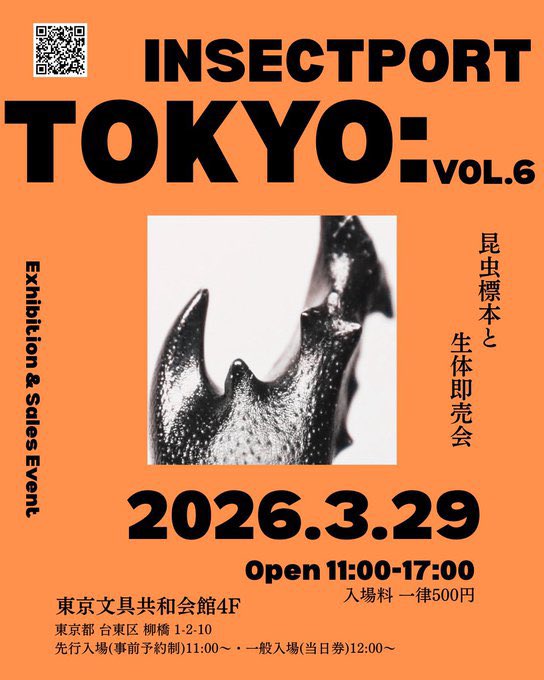 昆蟲菓舗 灯螂舎(トウロウ舎) tweet media