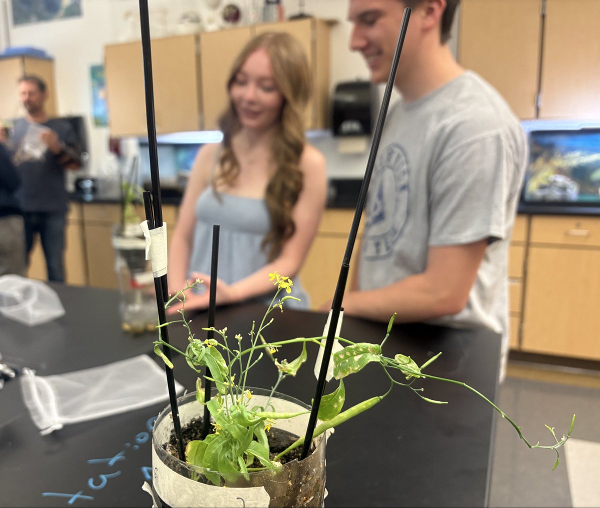 FrederickHSGoldenEagles tweet media