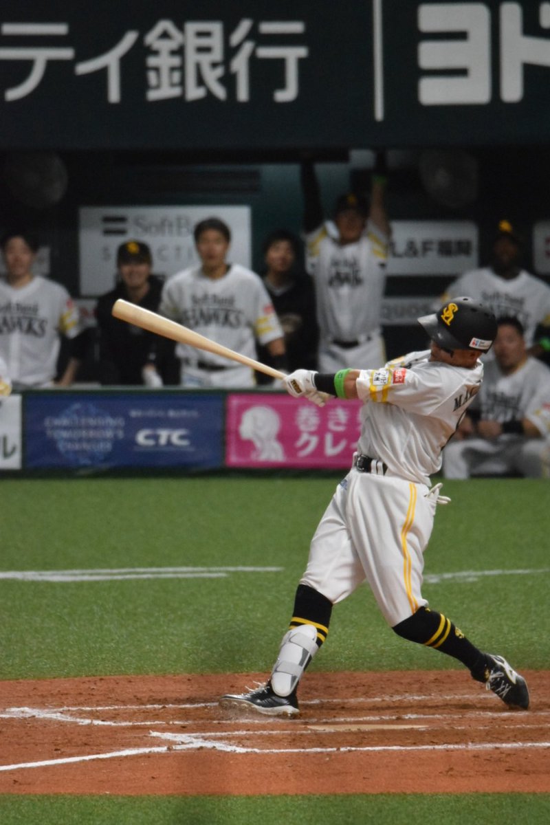 DsBaseball_SB's tweet photo. 今日はもうマッキーの1日ですよ✨

犠飛打った時の山川可愛いww

#sbhawks https://t.co/68W9dubDgA
